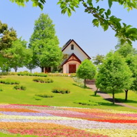 結婚式の招待状を作成する時に注意が必要なマナーとは